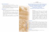 0 Fiche ZABR N°1 Fiche ZABR N°1 S. Dufour, CEREGE, Aix … · techniques et exemples d’utilisation pour l’étude des cours d’eau . Agence ... de télédétection ; vol ...