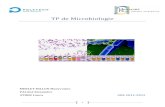TP de Microbiologie - Accueilmaryvonnemerletbillon.com/Microbiologie_2011.pdf ·  · 2014-02-10fiche d’identification, ... La galerie API 20E est une galerie dédiée à l’identification