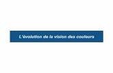 10.fr Vision Des Couleurs - Pedagogix-tagc.univ-mrs.frpedagogix-tagc.univ-mrs.fr/.../pdf_files/10.vision_des_couleurs_fr.pdf · La vision des couleurs chez les vertébrés Chez les