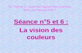 Séance n 5 et 6 : La vision des couleursclg-les-sablons-buzancais.tice.ac-orleans-tours.fr/eva/sites/lyc... · I – Le principe (simplifié) de la vision ... appelée tâche jeune