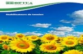ahead of time - SCET Algérie Énergiescetenergie.com/img/StabilisateueOrtea.pdf ·  · 2017-04-02L’obtention des certiﬁcations ISO14001:2004 et OHSAS18001:2007 s’est révélée
