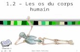 [PPT]Anatomy I - Le site web de M. Dominic Décoeur - Accueildecoeur.weebly.com/.../1.2-les_os_du_corps_humain.ppt · Web view1.2 – Les os du corps humain Sport Books Publisher