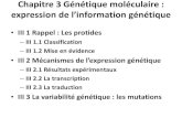 Chapitre 3 Génétique moléculaire : expression de … 3 Génétique moléculaire : expression de l’information génétique •III 1 Rappel : Les protides –III 1.1 Classification