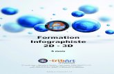 Formation Infographiste 2D - 3D - E-tribArt · Institut e-tribArt : 3 . L’institut L’équipe. Edito. 1 4. Formation Infographiste 2D-3D Objectifs. Programme détaillé. 6. 6 7.