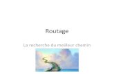Routage - BTS SIOmariepascal.delamare.free.fr/IMG/pdf/RoutageStatiquepPpt.pdfTypes de routages des datagrammes •Routage statique –Pour des petits réseaux •Routage dynamique