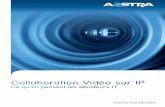 Solutions collaboratives, vidéo et développement …support.aastra.fr/handbooks/files/Handbook_Video...L’usage de la vidéo au sein des entreprises est plus que jamais une réalité,