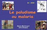 Le paludisme ou malaria - Biomycologie€¢ Afrique : tue 1 enfant sur 20 avant l’âgede 5 ans • 40% de la population mondiale concernée (2,5 MM) ... érythropathie due au développement