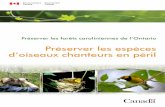 Préserver les espèces d’oiseaux chanteurs en péril©server les forêts caroliniennes de l’Ontario : Préserver les espèces d’oiseaux chanteurs en péril 03 la forêt carolinienne