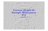 Travaux dirigés de Biologie Moléculaire N°6aurelien.chateigner.free.fr/- Biologie moleculaire -/Semestre 3/TD6...Réparation par excision de nucléotides : Système UvrABC chez