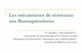 Les mécanismes de résistance aux fluoroquinolones E. coli: Chez . Salmonella: mutations isolées au niveau de ParC (Ling et al. AAC 2003) Le. site privilégié . des mutations observées