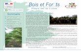Bois et Forêts - Accueil | CRPF Pays de la Loirecrpf-paysdelaloire.fr/sites/default/files/journal/...Bois et Forêts Pays de la Loire en Sommaire Additionner les forces ! p. 1 2017