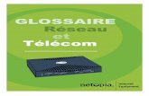 Glossaire Termes Réseaux et Télécommunications · Netopia Glossaire 2 ADSL Asymmetric Digital Subscriber Line. Cette technique définit la façon de transmettre des données sur