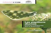 Les papillons diurnes - La Métropole de Lyon · La Coronille attire aussi un papillon jaune citron, le Fluoré (Colias alfacariensis). Dans les prairies on observe la Mélitée du