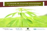 LA GRAINE DE CHANVRE BIOLOGIQUE - agrireseau.net · Outre la production de graines, des investisseurs en quête de substituts du bois ... Cannabis sativa, est une plante généralement