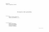 Cours de ponts - Lapaillelapaille-application.pagesperso-orange.fr/ESTP/Poly_OA_2016.pdf · 7.3.2 Dimensionnement..... 140 7.3.3 Stabilité des fléaux au cours du poussage ...