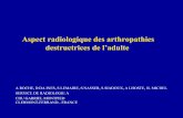 Aspect radiologique des arthropathies destructrices de l ...pe.sfrnet.org/Data/ModuleConsultationPoster/pdf/2005/1/19928450...Aspect radiologique des arthropathies destructrices de