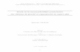 Etude de la renormalisabilité perturbative des théories de ... de Recherche Master 2 de Physique Théorique Ecole Normale Supérieure de Lyon / Université Claude Bernard Lyon 1