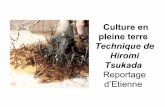 Culture en pleine terre - Arras bonsai clubarrasbonsaiclub.e-monsite.com/medias/files/culture-en...Pour la longueur des racines Hiromi répond simplement: "Toriki" (marcotte en Japonais)