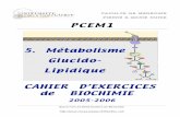 PCEM1 5. Métabolisme Glucido- Lipidique CAHIER …aristote.datacenter.dsi.upmc.fr/disc/PCEM1/ED/5_Metabolisme_05-06.pdf · Cahier d'Exercices en Biochimie / PCEM1 Métabolisme glucido-lipidique
