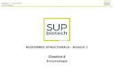 BIOCHIMIE STRUCTURALE– Biotech 1 Chapitre 6 …intranet.supbiotech.fr/courses/BIOCHIMIE/document/2016-2017/Cours/... · BIOTECH 2 / 2011-2012 Biochimie Introduction à l’étude
