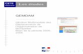 CETE Les études - Document sans nom€¦ ·  · 2014-06-10@Les études GEMDAM GEstion Multimodale des Déplacements de l'Agglomération de Montpellier Bilan de la période 2005-2006
