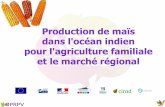 Production de maïs dans l'océan indien pour l'agriculture …€¦ ·  · 2014-02-27La culture du maïs dans les pays de la région du Sud-Ouest de l‘Océan Indien: ... Pépinière