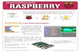 RASPBERRY - disciplines.ac-toulouse.fr · Raspberry - Port GPIO via Scratch Pascal Pujades - Janvier 2016 Il est facile de programmer une animation, un jeu ... home / PI / photos