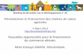 Briefing de Bruxelles sur le développement n Kanayo AWANI, Afreximbank. Nouvelles opportunités pour le financement du commerce africain Présentation au 35e Briefing politique de