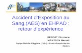 Accident d’Exposition au Sang (AES) en EHPAD : retour d ... · Bibliographie AES en EHPAD Résultats étude menée en région Rhône-Alpes en 2014 : 163 EHPAD ont participé, 801