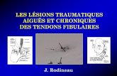 LES LÉSIONS TRAUMATIQUES AIGUËS ET … Abstracts/20130313RodineauFibulaires.pdf · Les rétinacula Principaux stabilisateurs des tendons: - rétinaculum supérieur = rôle primordial