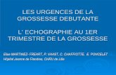 LES URGENCES DE LA GROSSESSE DEBUTANTE L ...pe.sfrnet.org/.../1/c7d899d4-b0d6-4ad1-afeb-e6fa29cfcd93.pdfLA GEU VALEUR DU COUPLE bHCG/ECHOGRAPHIE bHCG