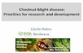 Chestnut blight disease: Priorities for research and ... · Chestnut blight disease: Priorities for research and development ... Impact of chestnut blight in Europe ... 125 Bouche