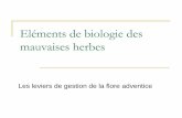 eléments De Biologie Des Mauvaises Herbes · Eléments de biologie des mauvaises herbes Les leviers de gestion de la flore adventice