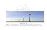 IUT GTE - Université de Pau et des Pays de l'Adour (UPPA)omari/TPeol.pdf · 1GWEC : General Wind Energy Council (Conseil Général de l’Energie Éolienne) ... comme l’Inde avec