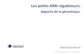 Les petits ARN r©gulateurs - rna.igmors.u-psud.frrna.igmors.u-psud.fr/gautheret/cours/ARN-regulateurs-08.pdf 