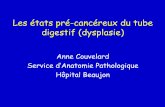 les états Pré-cancéreux Du Tube Digestif (dysplasie) · Les états pré-cancéreux du tube digestif (dysplasie) Anne Couvelard Service d’Anatomie Pathologique Hôpital Beaujon