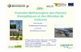 Potentiel Méthanogène des Plantes Energétiques et des ... · Potentiel Méthanogène des Plantes Energétiques et des Résidus de Cultures Partenariats ENERBIOM/OPTIBIOGAZ LuxCycle