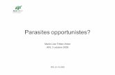 Parasites opportunistes? · ARL 03.10.2008 Parasites opportunistes? Marie-Lise Tritten-Arber ARL 3 octobre 2008