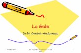 La Gale - Biomycologie · 26/09/2010 Dr N Contet-Audonneau Cours IST 3 La gale • 300 millions de personnes/an dans le monde • Prévalence maisons de retraite 6,6 %, longs ...
