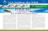 Programme dAppui La Lettre du P3A - p3a-algerie.org · actions coordonnées qui s’inscrivent ... les secteurs de la Finance et du Commerce. ... étudier les avantages et les inconvénients