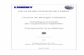 Licence de Biologie Cellulairecl.riviere.free.fr/haploids-Y2K.pdf · Faculté des Sciences de Luminy Licence de Biologie Cellulaire Dr. Claude Rivière Génétique des Organismes