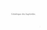 Génétique des haploïdes - genetique -/6-genetique des haploides... · PDF file3 L’analyse de tétrades • L’analyse de tétrade est utilisée pour localiser des gènes chez