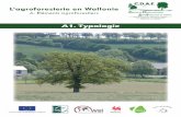 L’agroforesterie en Wallonie - CDAF · Typologie A1 2. Éléments agroforestiers à la ferme ! Mais aujourd’hui, faute de temps, de main d’œuvre et de rentabilité économique,