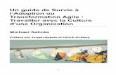 Un guide de Survie à l’Adoption ou Transformation Agileagile-lean-et-compagnie.com/wp-content/uploads/2013/03/un_guide_de... · différentes modes de management du logiciel, Fabien