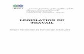 LEGISLATION DU TRAVAIL - maroc-adresses.commaroc-adresses.com/cours_ofppt/LegislationPME_PME.pdf · SOMMAIRE Intitulé des chapitres Page Généralités sur le droit de travail 1