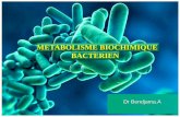 METABOLISME BIOCHIMIQUE BACTERIEN - univ.ency …univ.ency-education.com/uploads/1/3/1/0/13102001/bacterio19... · Mannitol-Mobilité Galerie API 20 E (identification des Enterobactéries)