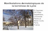 Manifestations dermatologiques de la borreliose de Lyme .Manifestations dermatologiques de la borreliose