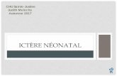 ICTÈRE NÉONATAL - CHU Sainte-Justinesaac.chu-sainte-justine.org/pages/Pediatrie 2017 - Meloche.pdf · • Évaluer le nouveau -né à ... • Ne dépasse pas 290 mmol/L à 96 heures