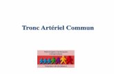 Tronc Artériel Commun - Carpedem.frcarpedem.fr/wp-content/uploads/2013/03/Tronc-arteriel-commun.pdf · Dobu Dopa Amrinone post-charge : Amrinone Digoxine +/- furosémide +/- captopril