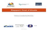 Rapport final d’étude A5 (French... · Rapport final d’étude ... approche « économie sociale et solidaire » et la création de nouvelles activités insertionnelles. ... A